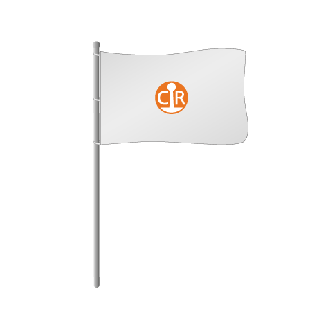 Hissflaggen